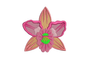 Orchid Embroidery Design Review for Seasonal Collections