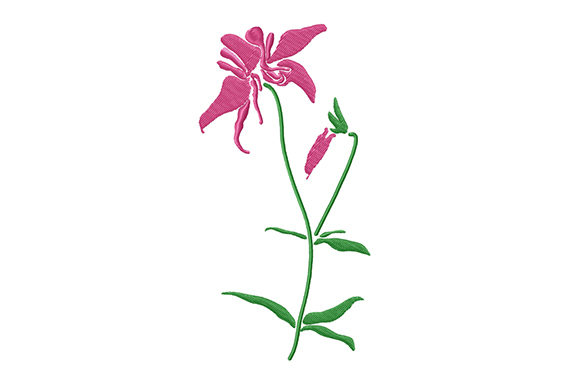Pink Columbine Flower Design Review