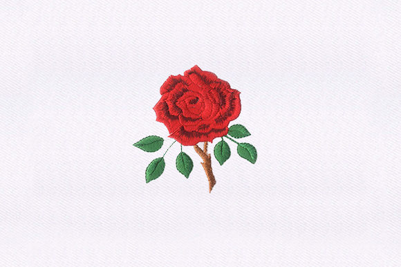 Thorny Red Rose Embroidery Review